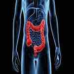 Colorectal & Hepatobiliary specialist